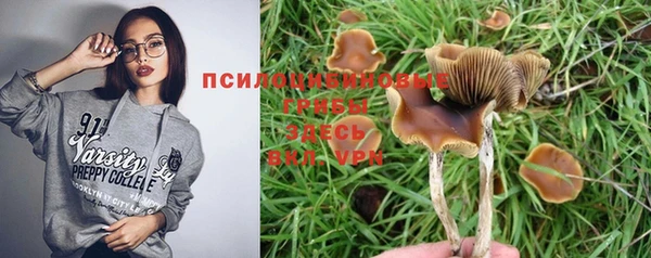 гидропоника Абаза