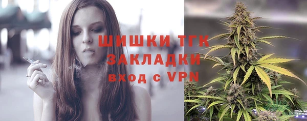 2c-b Пересвет